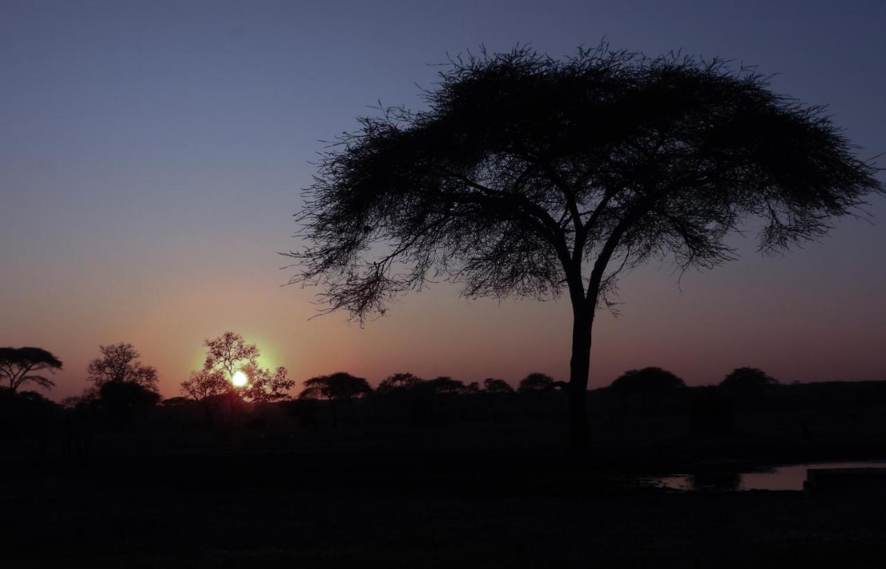 Victoria Falls Holiday Home 외부 사진